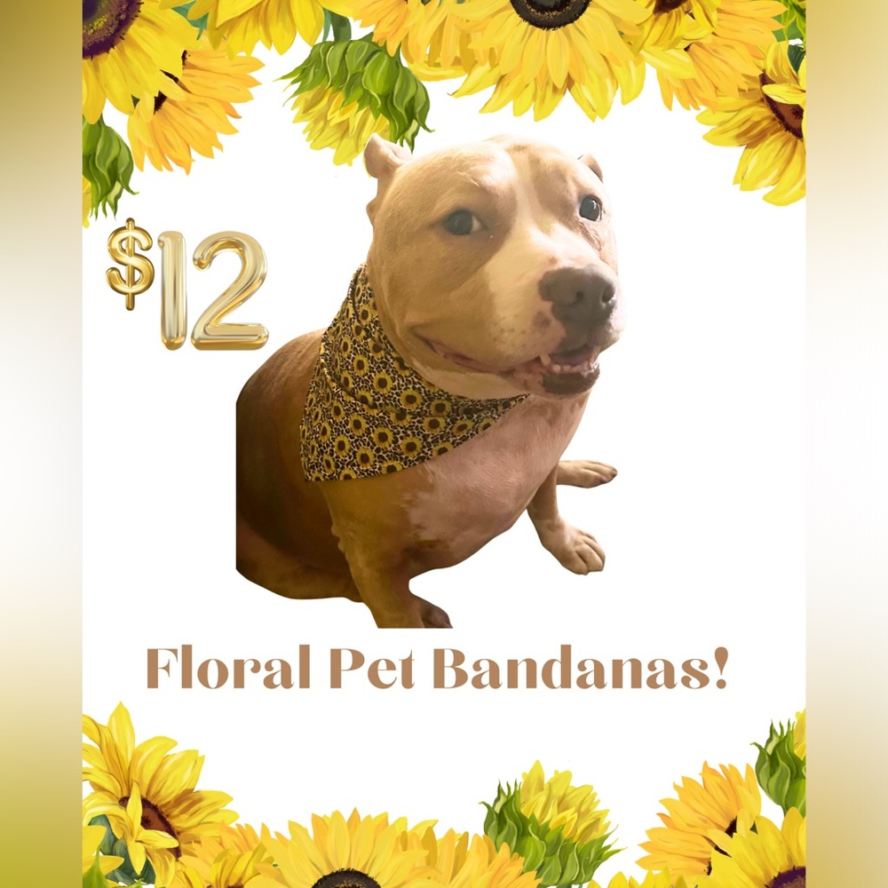 Sunflower Cheetah Print Pet Bandana for Boy Girl Unisex one size fits most!